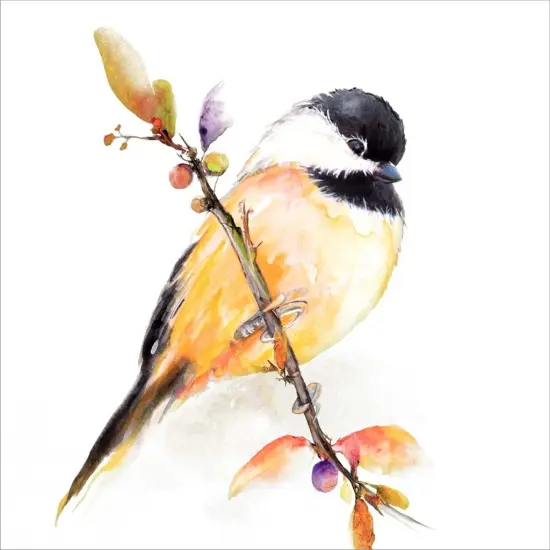 Watercolor Chickadee I by Diannart 12" x 12" Canvas Wall Art {2}