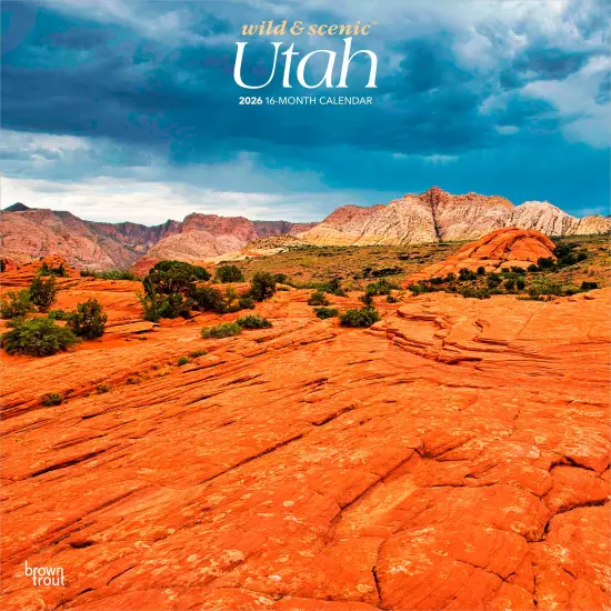 Utah Wild & Scenic | 2026 12 x 24 Inch (Hanging) Monthly Square Wall Calendar | Plastic-Free {1}