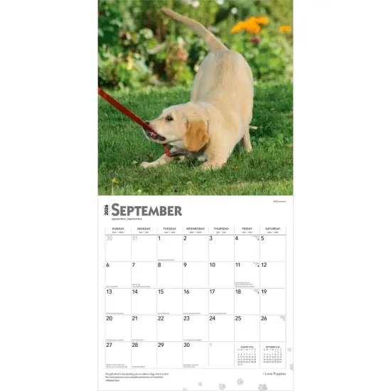 I Love Puppies | 2026 12 x 24 Inch (Hanging) Monthly Square Wall Calendar | Plastic-Free {4}