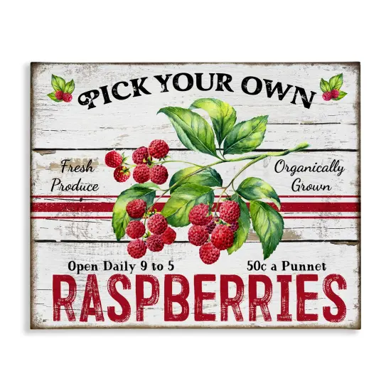 Stupell Industries Pick Your Own Raspberries Canvas Wall Art Design by Creatif Belle {1}