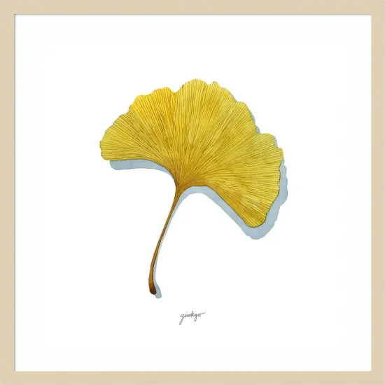 Golden Ginkgo Study II by Grace Popp Wood Framed Wall Art Print {1}