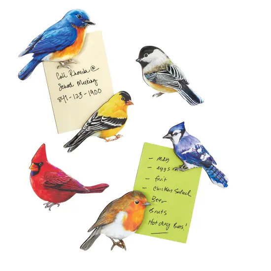Collections Etc Detailed Wooden Bird Refrigerator Magnets - Set of 6 {2}