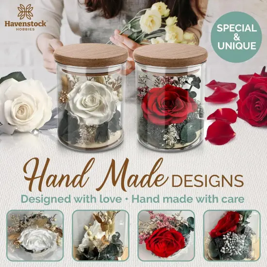 Red Rose in a Glass Dome {2}