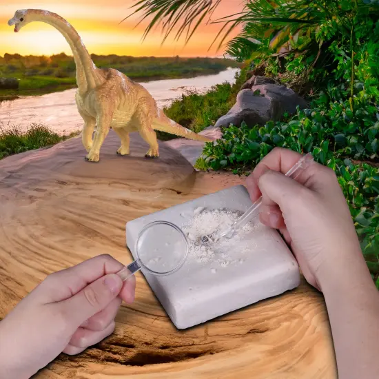 WowWorld: Dino Dig - Brachiosaurus - All-In-One Dinosaur Skeleton Excavation Kit, Tools & Construction Figurine, Educational Science Toy, Kids Ages 6+ {5}
