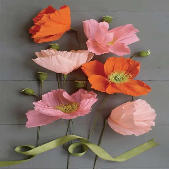 Lia Griffith Crepe Paper Flower Kit-Poppies {3}