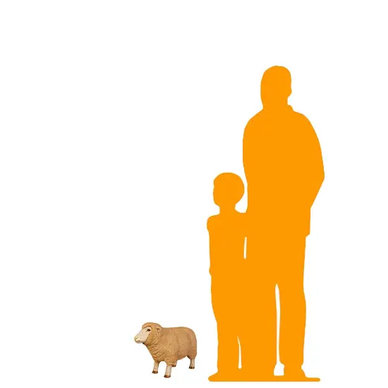 Baby Merino Ewe Life Size Statue {2}