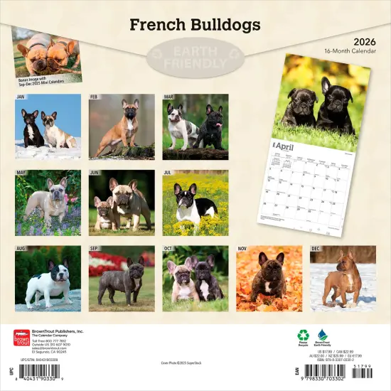 French Bulldogs | 2026 12 x 24 Inch (Hanging) Monthly Square Wall Calendar | Plastic-Free {2}