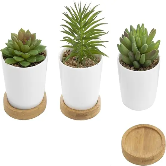 Assorted Artificial Succulent Plants - Decorative Fake Desert Plants with Pebble Fillers in White Ceramic Pots with Bamboo Saucers, Set of 3 {4}