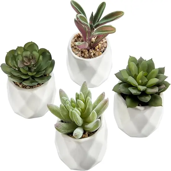 Miniature Artificial Succulents, Indoor Fake House Plants in Round White Geometric Ceramic Pots, Set of 4 {1}