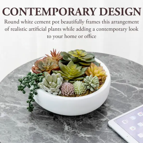 8 Inch Round Modern Artificial Succulent Arrangement Potted in White Concrete Plant Bowl, Assorted Faux Mini Succulents in a Decorative Planter Pot {2}