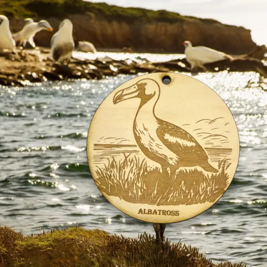 Ornament - Albatross Raw Wood {3}
