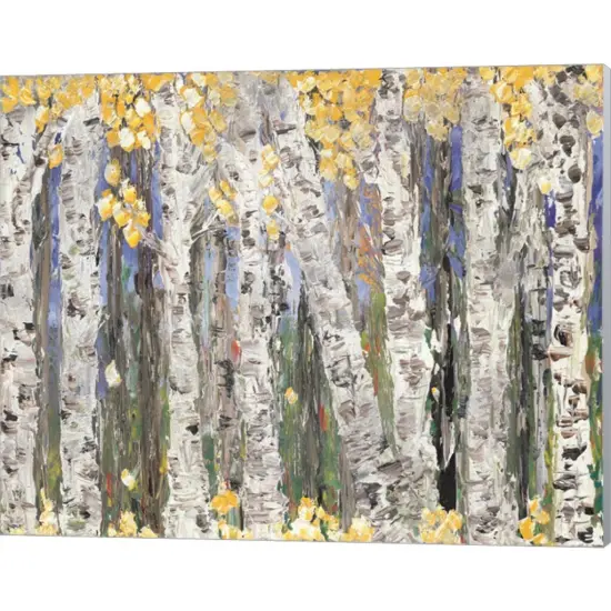 Yellow Leaf Birch Trees by Roey Ebert 20" x 16" Canvas Wall Art {1}