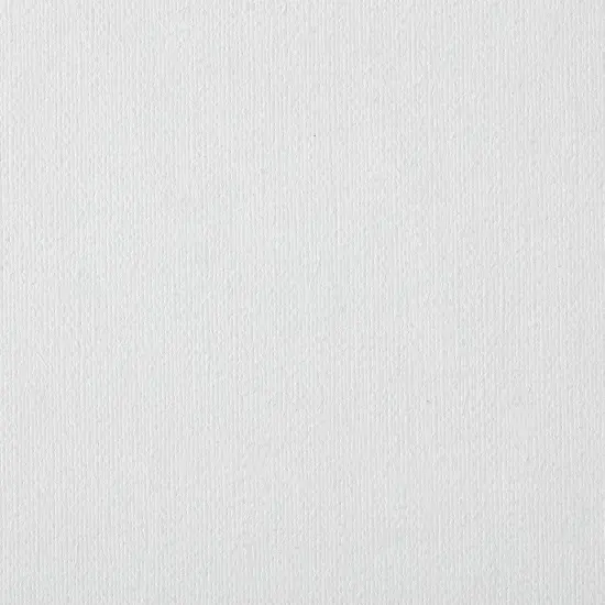 Centurion Deluxe Professional Oil Primed Linen Stretched Canvas, 11oz Linen,Box of 6, 0.67"Deep Canvases, Kiln-Dried Stretchers, Back Stapled, Premium Medium Weight Canvas for Oil Paintings {4}