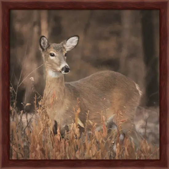 Whitetail Deer by Lori Deiter 13" x 13" Framed Wall Art {1}