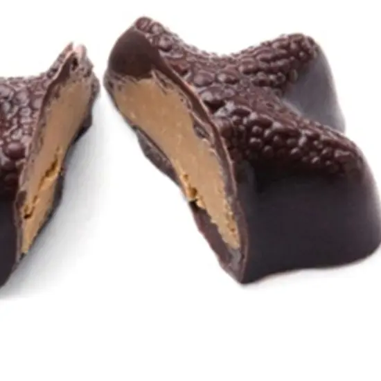 Seashell Continental Chocolate Mold {3}