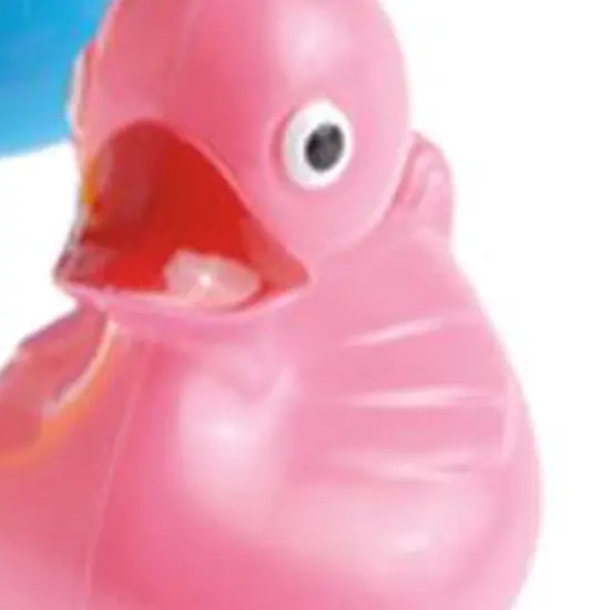 Duck Pond Floaters Asst Include 12 Units {2}