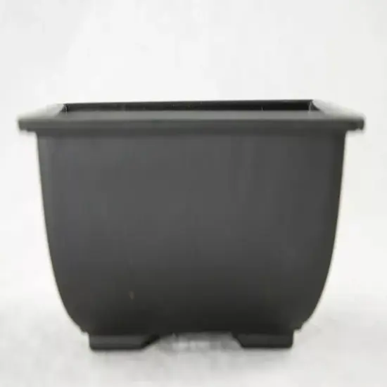 30 Rectangular Black Plastic Succulent / Bonsai Training Pot - 5"x 3.5"x 2" {3}