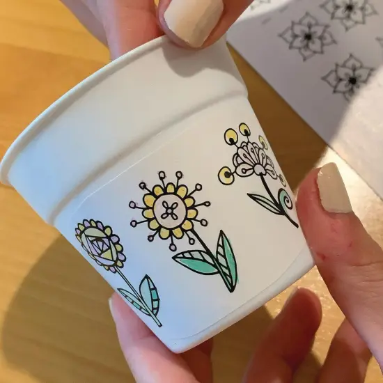 Zinnia Flower Gardens (Pack of 48) {7}