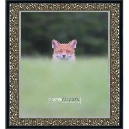 Ornate Silver Picture Frame - UV Acrylic, Foam Board Backing, Hanging Hardware {4}