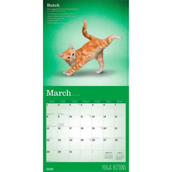 Yoga Kittens OFFICIAL | 2026 12 x 24 Inch (Hanging) Monthly Square Wall Calendar {3}