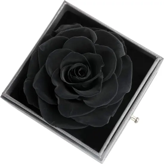 Preserved Real Rose with Heart Necklace I Love You in 100 Languages(Black) {3}