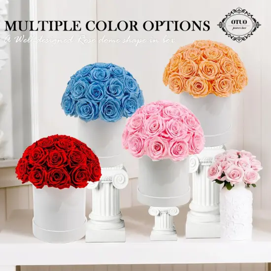 27 Preserved Roses in Round Dome Shape {2}