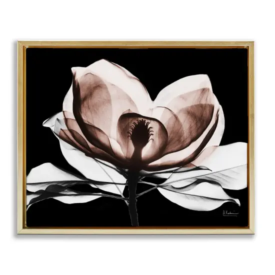 Stupell Industries Modern Mocha Magnolia Floating Frame By Albert Koetsier {1}
