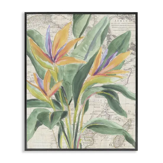 Stupell Industries Bird of Paradise over Map Framed Giclee Design by June Erica Vess {1}