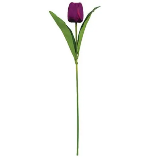 Tulip Floral Stem Purple {1}