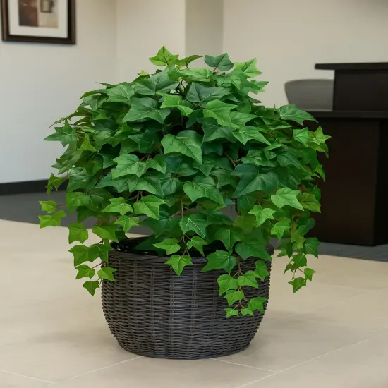 English Ivy Bush w/ 157 Silk Leaves - 33" Long - 2 PACK {2}