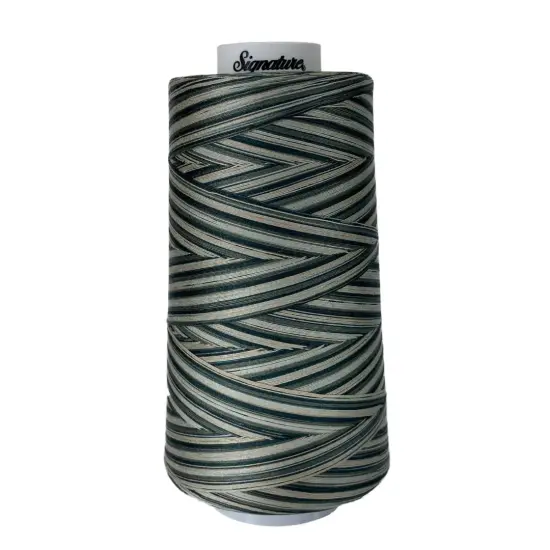 M04 Greenhouse Signature Cotton Variegated Thread {1}
