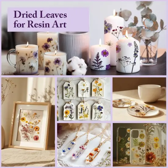 100Pcs Purple Dried Pressed Flowers for Resin Molds {5}