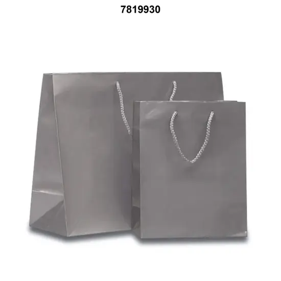 Compact Glossy Euro Totes 6 1/4'' x 3 1/2'' x 8 1/2'' for Retail Packaging Non-Metallic Silver {3}