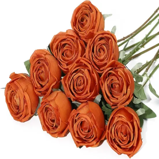 10 Pcs Artificial Silk Rose Flowers with Long Stems(Burnt Orange) {1}