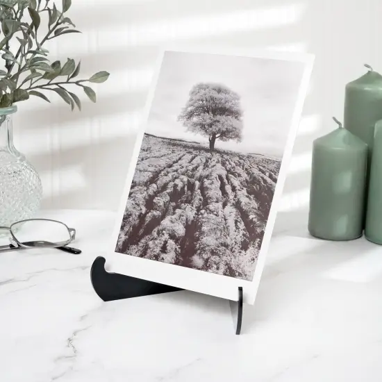 Plymor Black Acrylic 60-Degree Angle Easel With Shallow Support Ledges, 6" H x 4.5" W x 3.5" D {5}