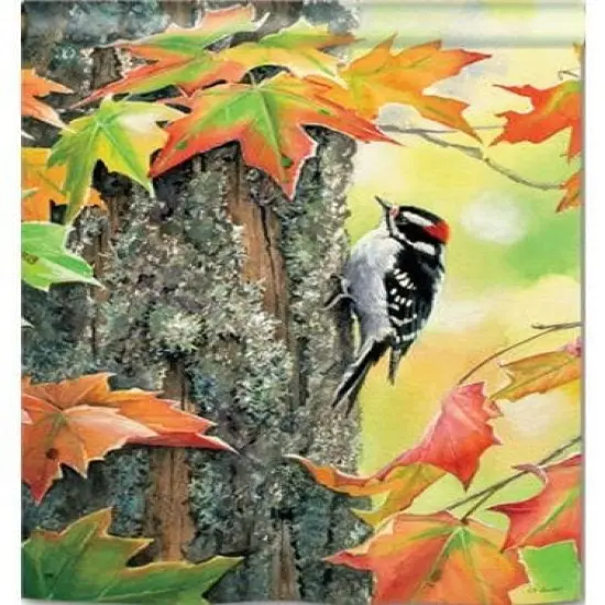 Woodpecker Flag 2 Sided Decorative Banner {1}