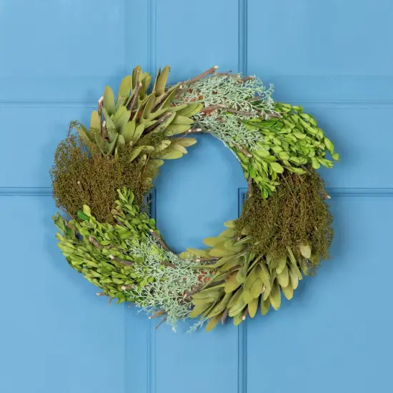Northlight Cedar, Succulent and Day Grass Artificial Spring Wreath, Green -14-Inch {1}