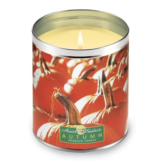 Collections Etc Autumn Pumpkin Patch Scented Candle, 12 oz. {2}