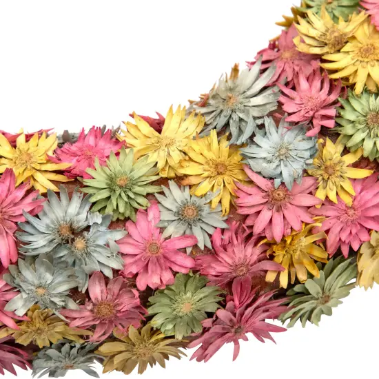 Northlight Multi-Colored Daisy Artificial Spring Floral Wreath, 10-Inch Pink {6}