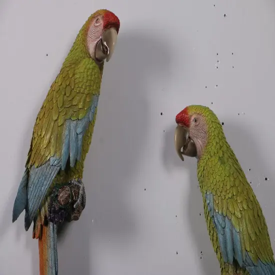 Macaw Buffon Lover Parrots Life Size Statue {4}