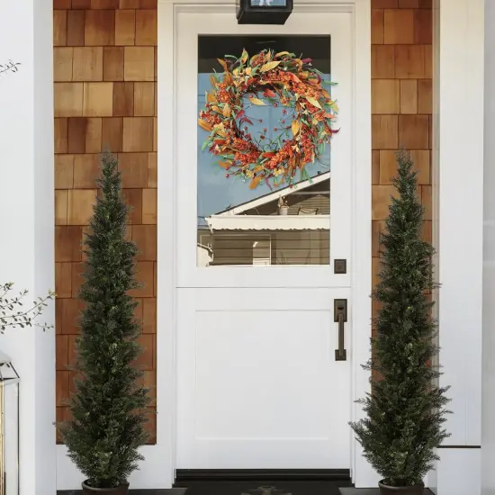 Appalachia Berry Fall Door Wreath - 22 inch {4}