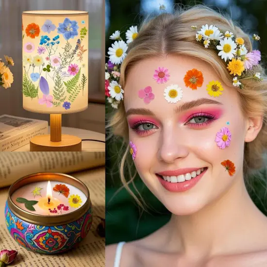 100 Pcs Dried Pressed Flowers - COLORFUL A {3}