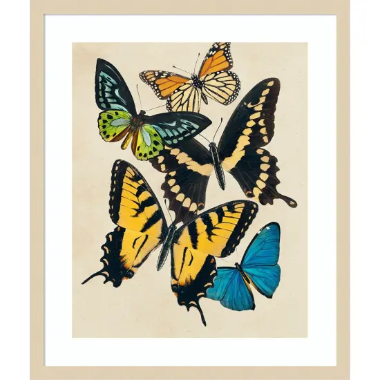 Collaged Butterflies II by Victoria Barnes Wood Framed Wall Art Print {1}