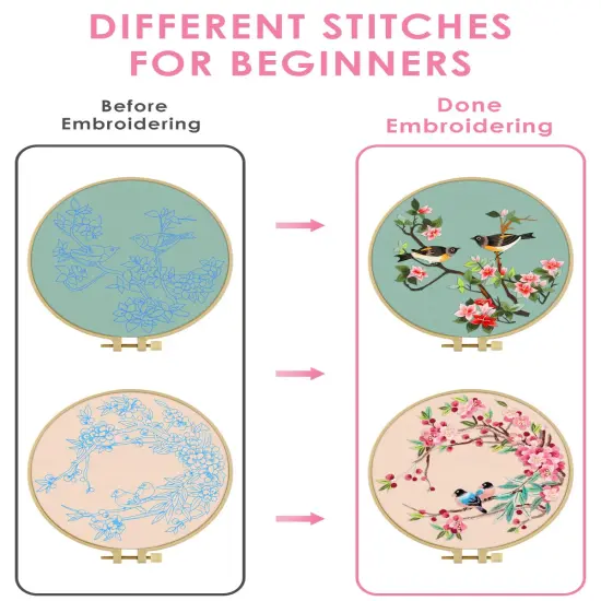 Embroidery Kit for Adult, Owl Embroidery Kit for Beginners Include Embroidery Cloth Hoops Threads for Craft Lover Hand Stitch with Embroidery Skill Techniques (Bird) {6}