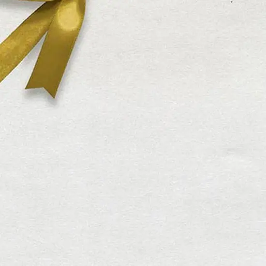 30" x 417' Solid Colored Gift Wrap Roll Ideal for Any Celebration {4}