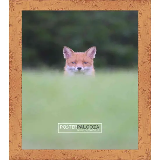 Shabby Chic Orange Picture Frame - UV Acrylic, Foam Board Backing, Hanging Hardware {4}