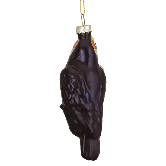 Northlight 4.75" Black and Gold Glass Toucan Bird Christmas Ornament Blue {6}