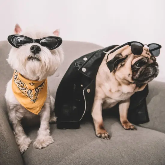 Qraftsy Dog Bandana Scarf Triangle Bibs for Any Size Puppies, Dogs and Cats {6}