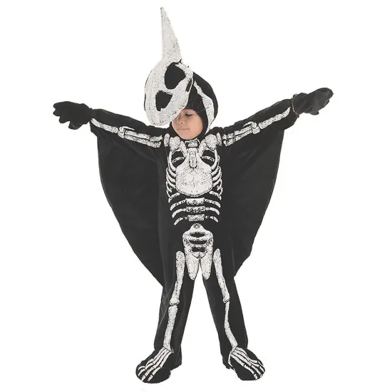 Child's Pterodactyl Costume {1}