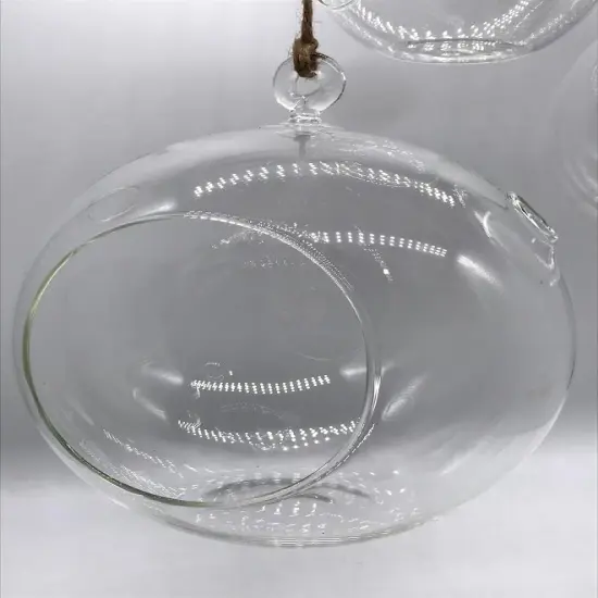 Hanging Glass Globe {6}